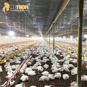 How Smart Climate Control Boosts Layer Output
