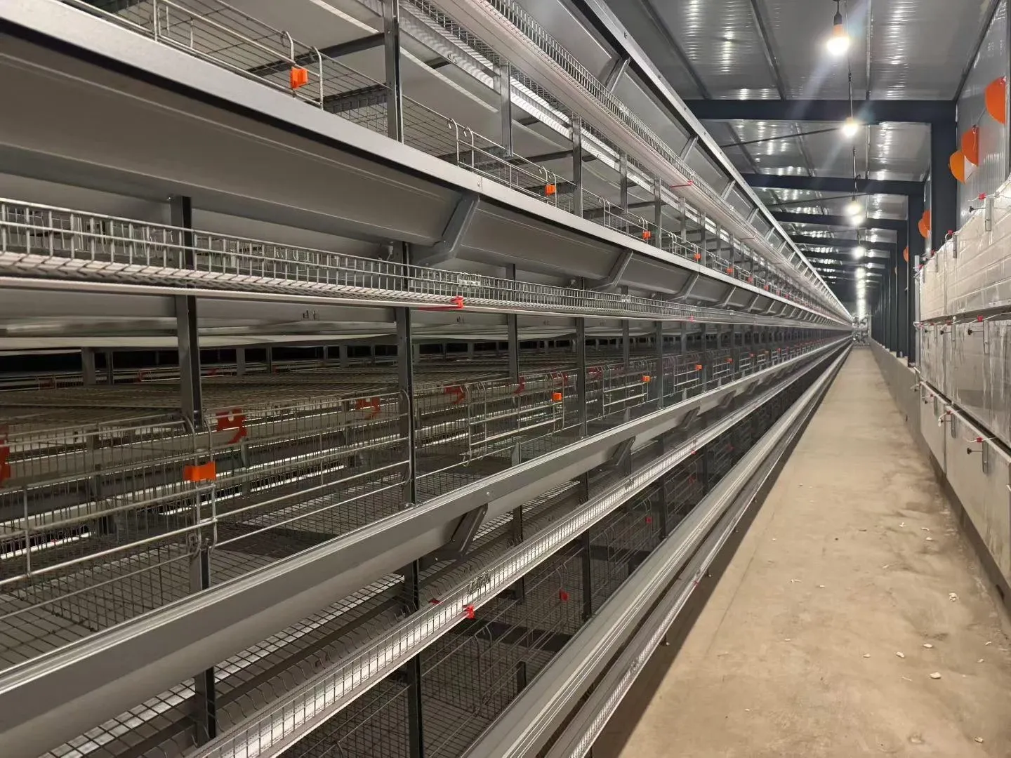 Installed cage rows and service aisle