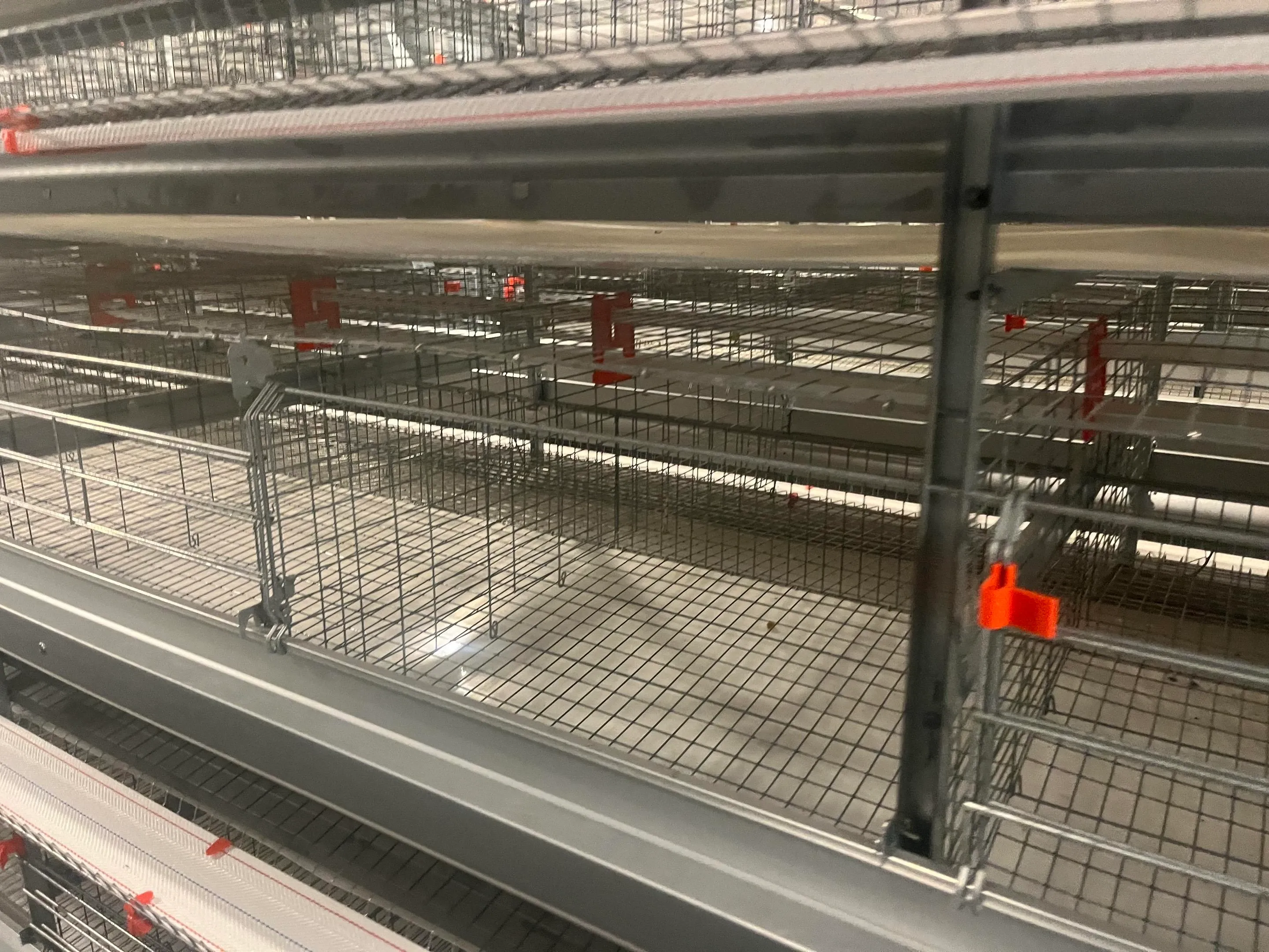 Pull-out Type Broiler Cage