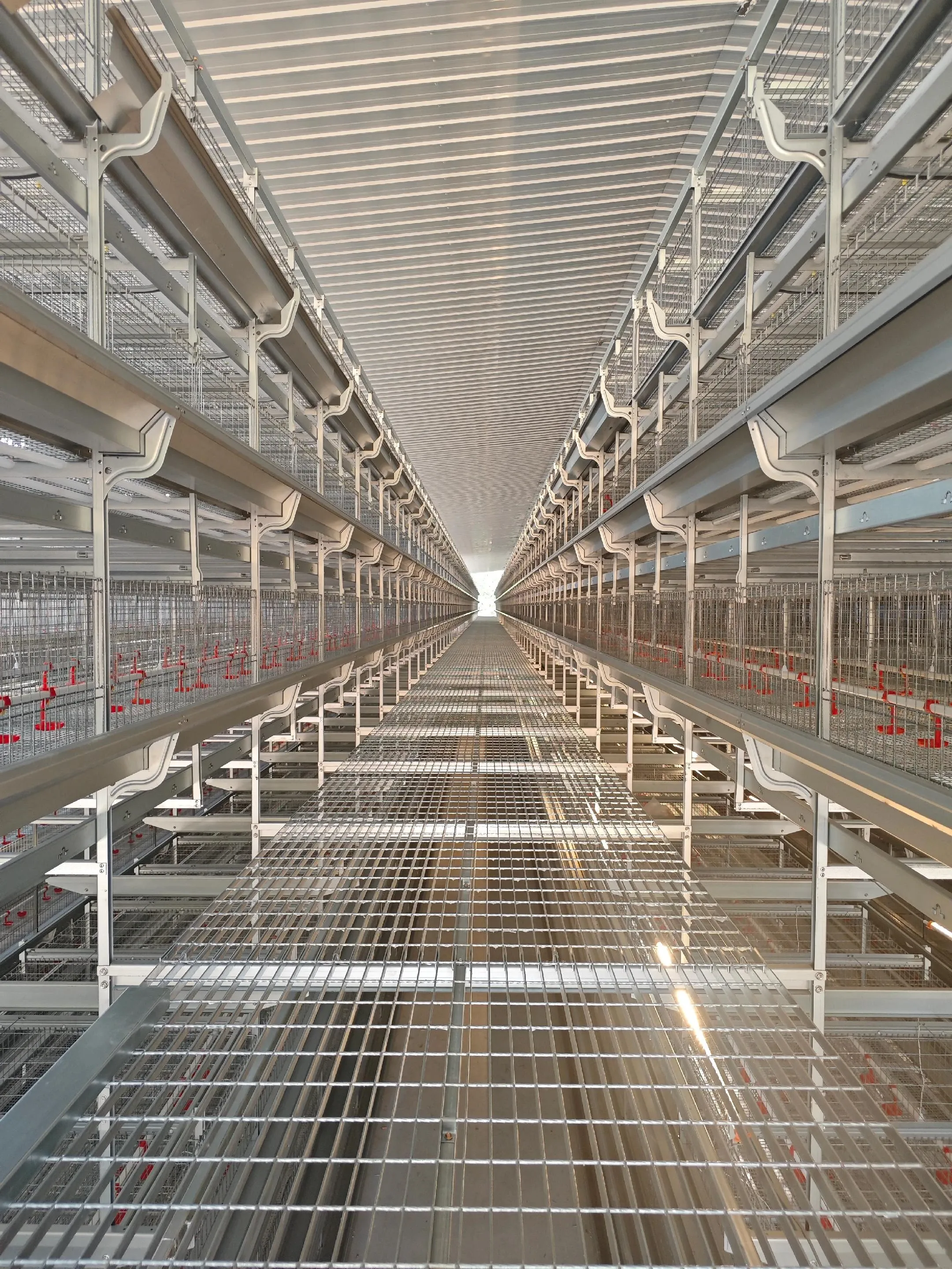 Pullet & Breeder Rearing Cage