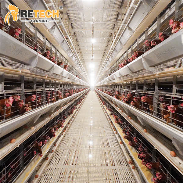 4 tier layer chicken cage